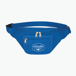 Fanny Packs & Mini Bags