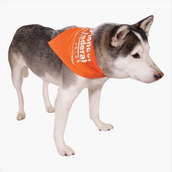 Big Dog Bandana