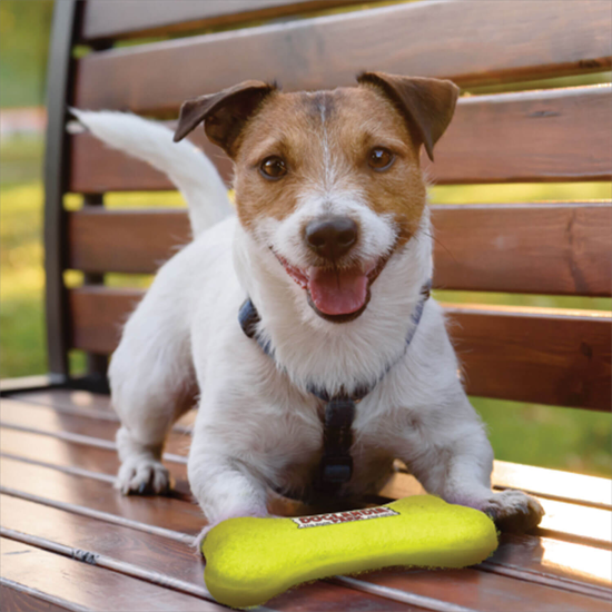 Full Color Pet Tennis Ball Bone