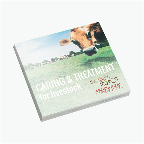 3 x 3 Souvenir® StickyNote - 50 Sheets - 24-Hour Production