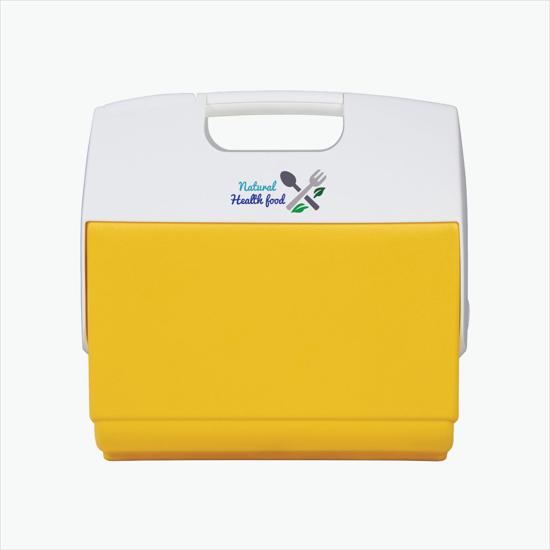 Igloo® Playmate Pal™ Cooler - 7 Qt - Full Color