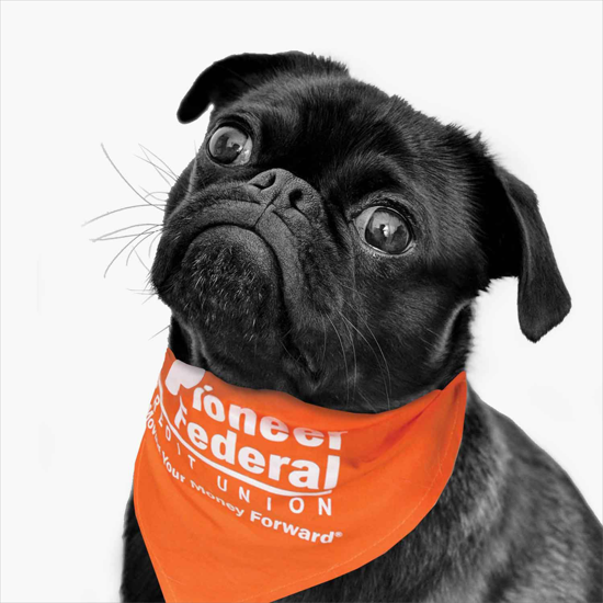 Small Pet Bandana