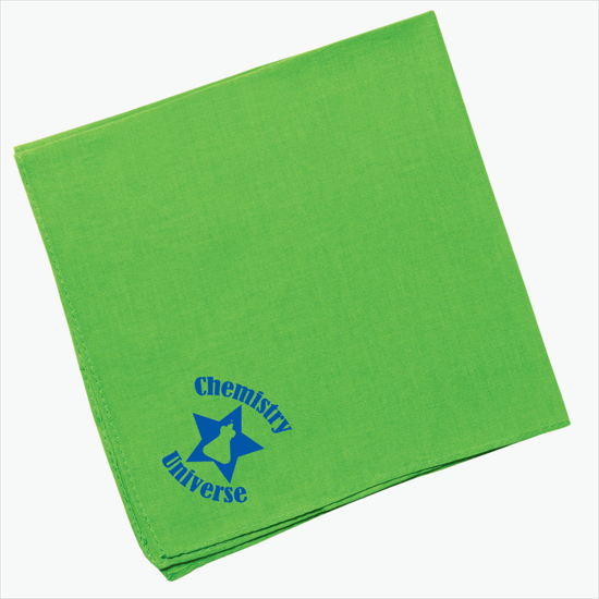 Hanky Bandanna 14 Square