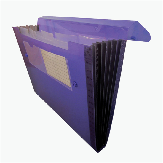 Translucent Snap Carry Case with 6-Pocket File - One-Color Imprint