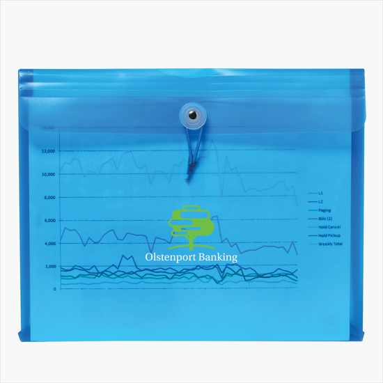 Duralopes Large Poly Envelope - Multi-Color Imprint