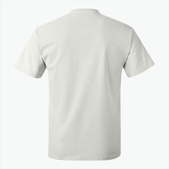 Hanes Authentic T-Shirt - White