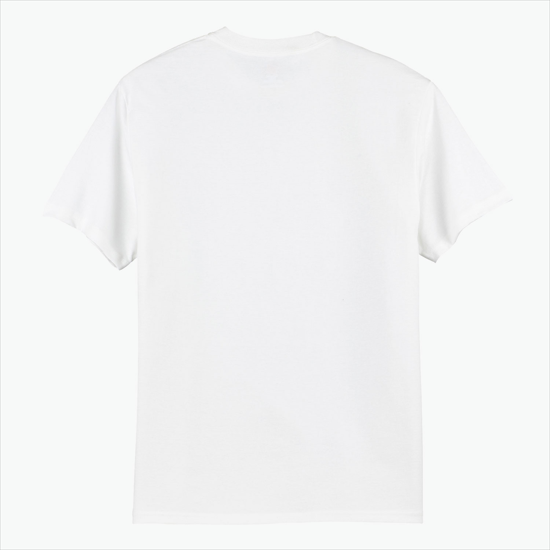 Full Color Hanes Authentic T-Shirt - White