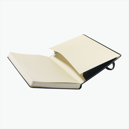 Moleskine® Hard Cover Large Notebook - Dot Ruled
