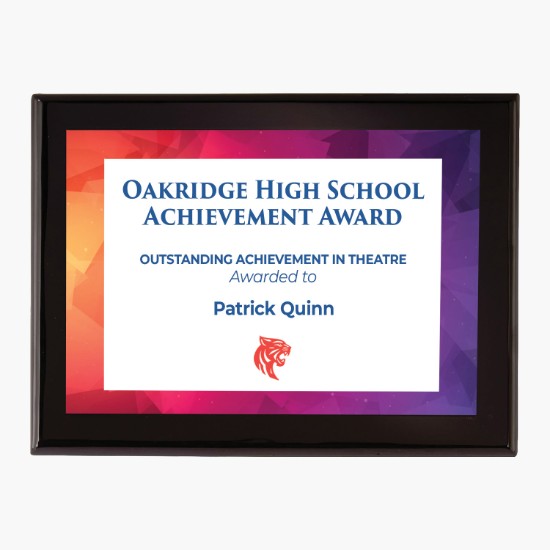 Onyx Medium Plaque Award - Full Color
