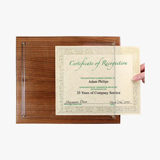 Instant Plaque Kit