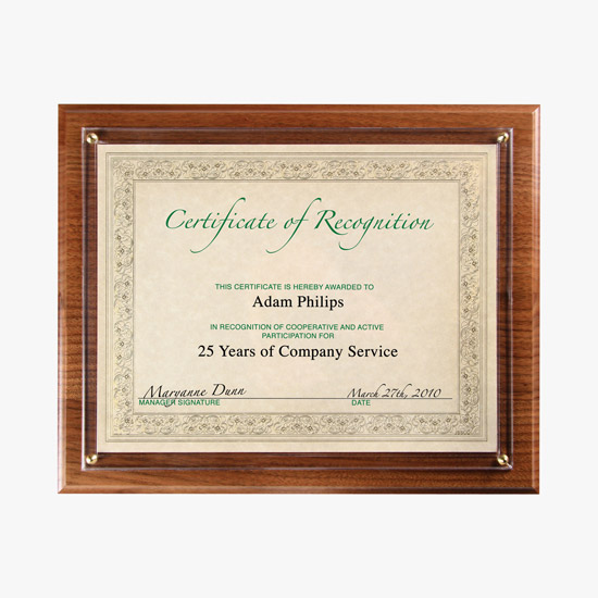 Instant Plaque Kit
