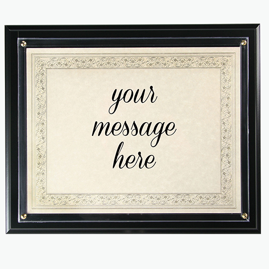 Instant Plaque Kit