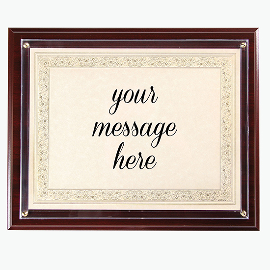Instant Plaque Kit