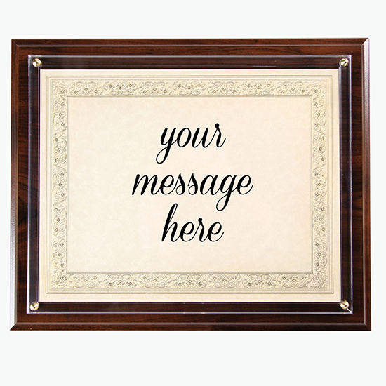 Instant Plaque Kit