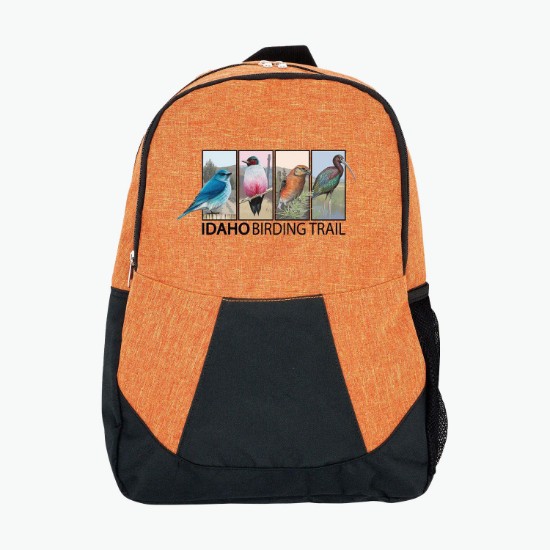 Ridge Backpack - 24-Hour Production