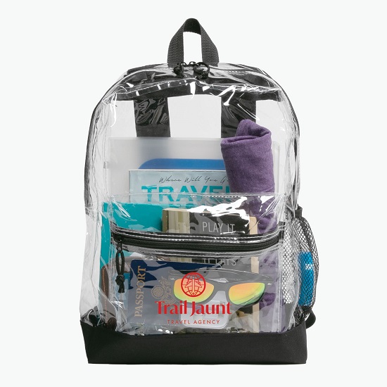 Transparent Backpack