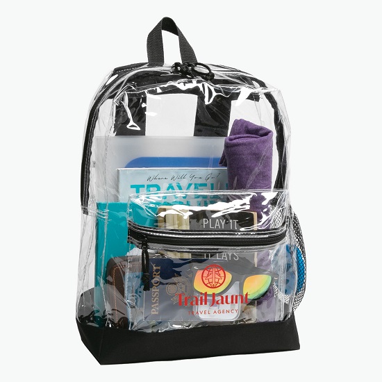 Transparent Backpack