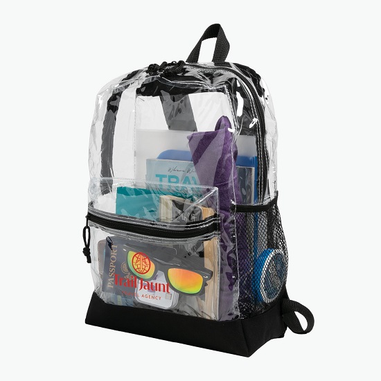 Transparent Backpack
