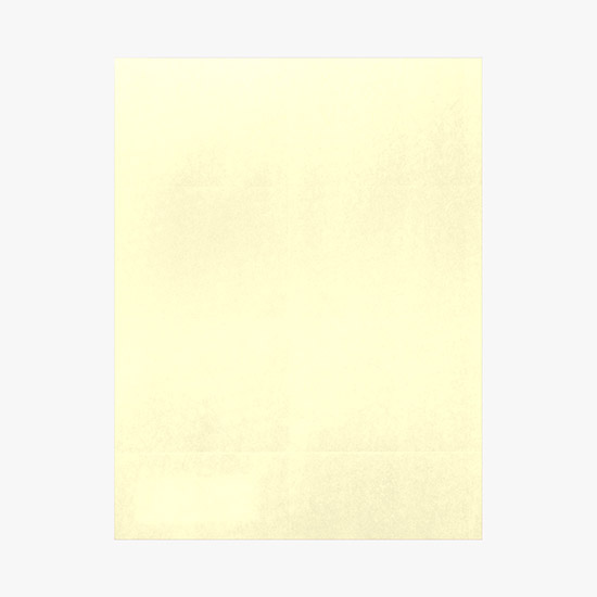 Printed Laser Insert Stock - 2 1/2 x 4 - Colors - Pack of 500 Inserts