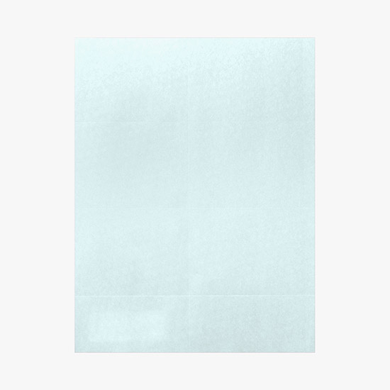 Printed Laser Insert Stock - 2 1/2 x 4 - Colors - Pack of 500 Inserts