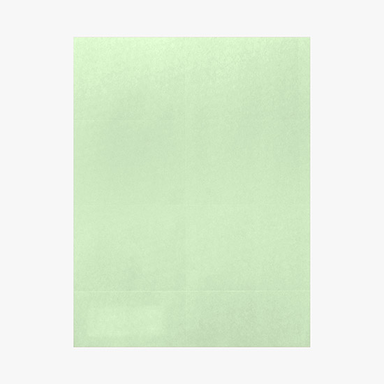 Printed Laser Insert Stock - 2 1/2 x 4 - Colors - Pack of 500 Inserts
