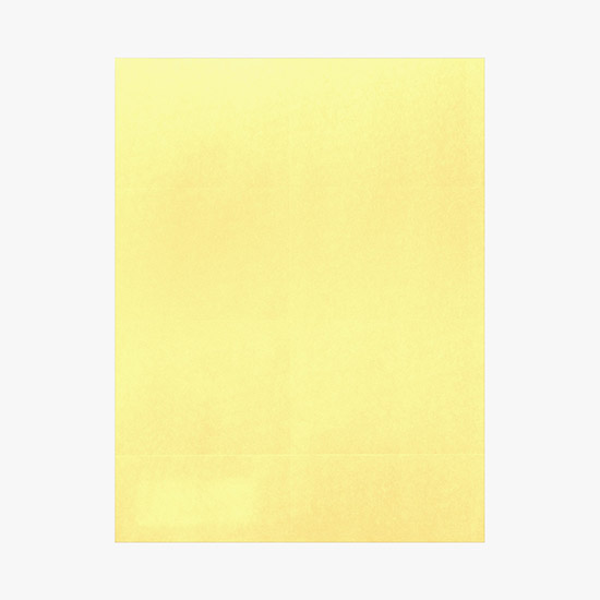 Printed Laser Insert Stock - 2 1/2 x 4 - Colors - Pack of 500 Inserts
