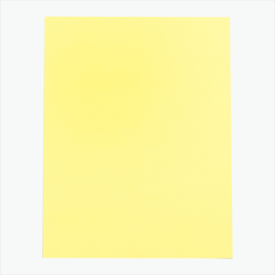 Printed Laser Insert Stock - 3 x 4 - Full Color - Colors - Pack of 500 Inserts