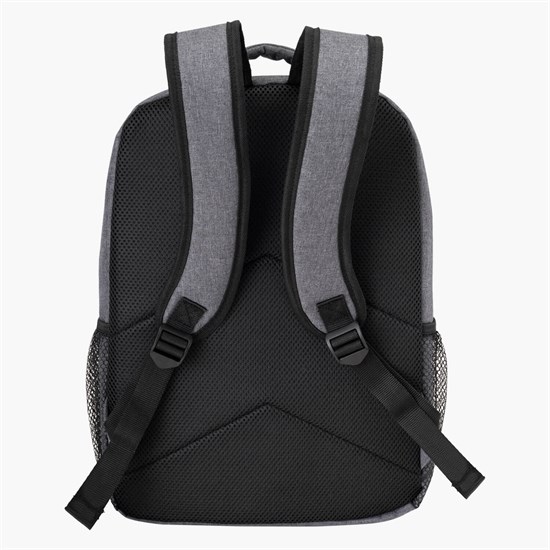 RejuVe Executive Business Backpack