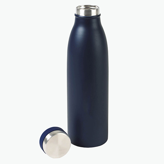 17 oz Aviana Palmer Double Wall Stainless Bottle - Clearance