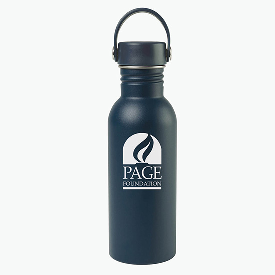 20 oz Arlo Classics Stainless Steel Hydration Bottle - Clearance