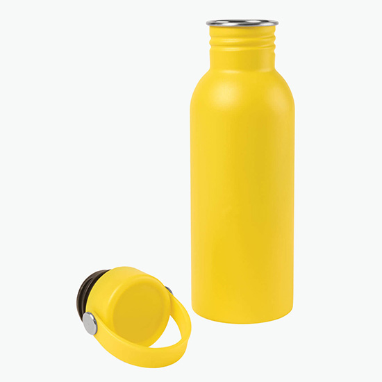 20 oz Arlo Classics Stainless Steel Hydration Bottle - Clearance