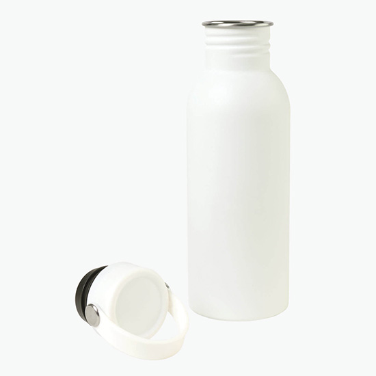 20 oz Arlo Classics Stainless Steel Hydration Bottle - Clearance