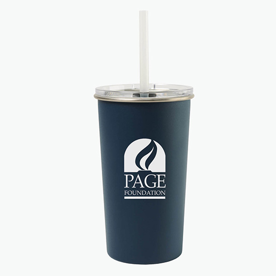 20 oz Arlo Classics Stainless Steel Tumbler with Straw - Clearance