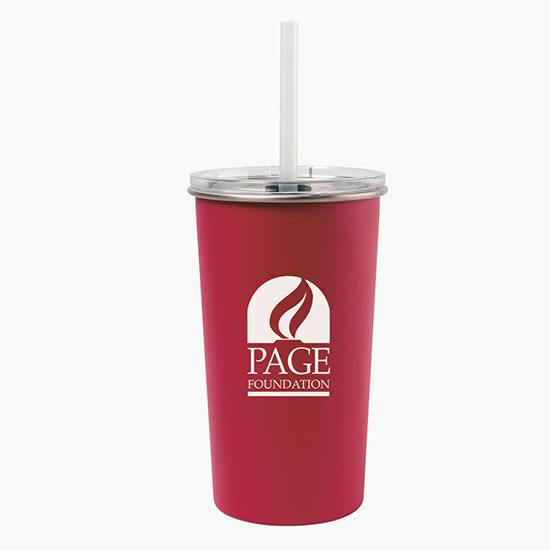 20 oz Arlo Classics Stainless Steel Tumbler with Straw - Clearance