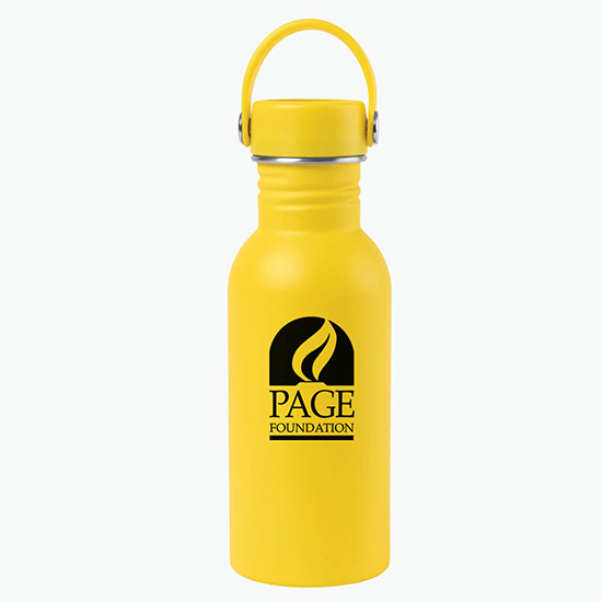 17 oz Arlo Classics Stainless Steel Hydration Bottle
