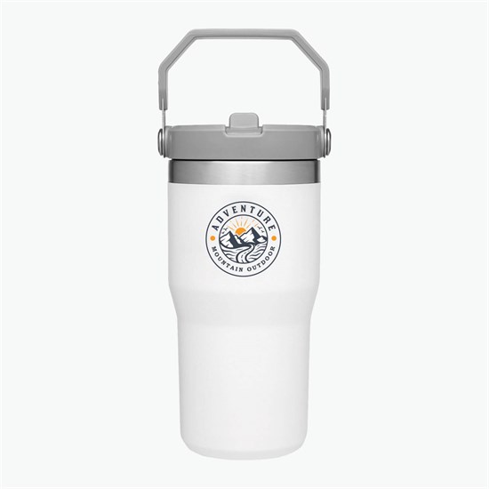 Stanley 20 oz IceFlow Flip Straw Tumbler - Full Color