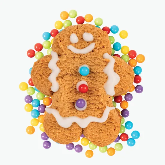 Ginger Buddy Cookie Decoration Kit