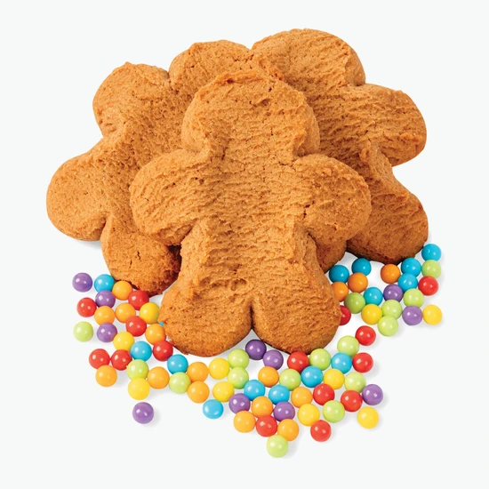Ginger Buddy Cookies Decorating Kit