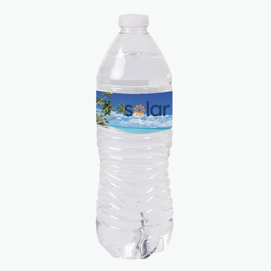 16.9 oz Bottled Water