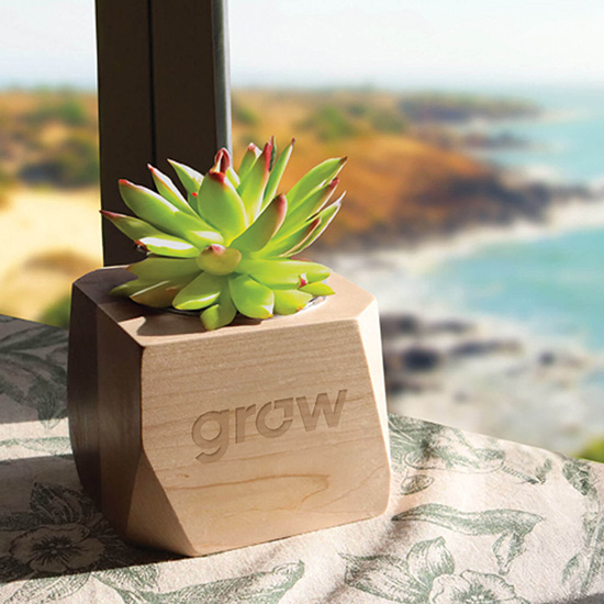 Geometric Wooden Planter with Succulent