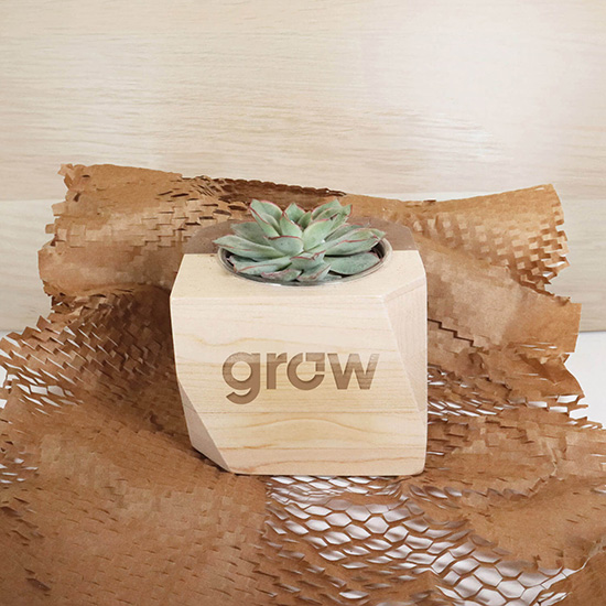 Geometric Wooden Planter with Succulent