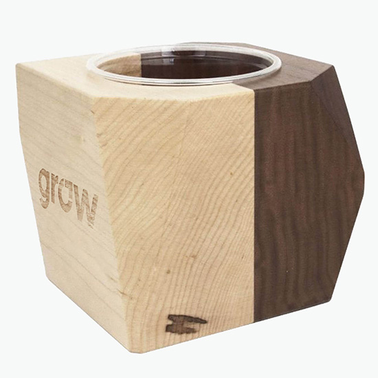 Geometric Wooden Planter with Succulent