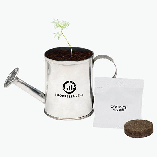 Watering Can Planter Kit