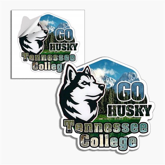 CustomCut Full Color Removable Vinyl Sticker - Medium