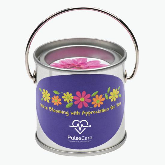 Paint Pail Planter Kit