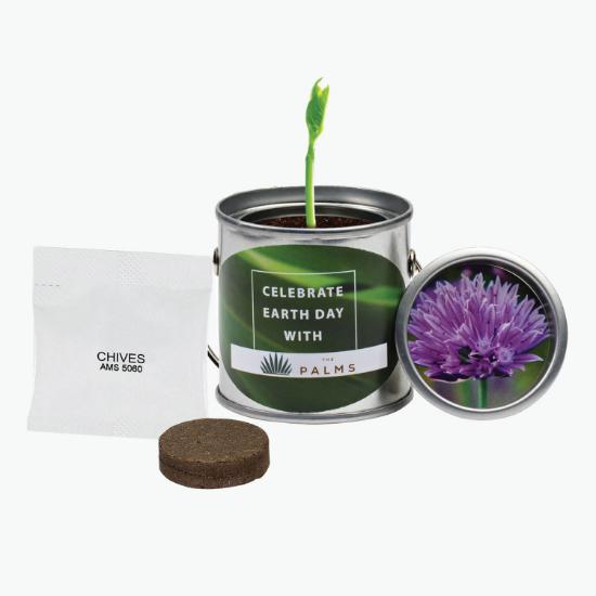 Paint Pail Planter Kit