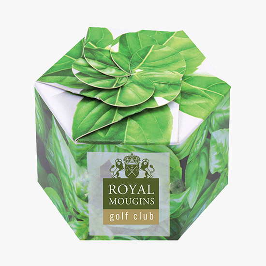 Pop Up Plant Starter Kit