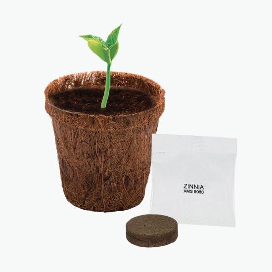 CoCo Planter Kit
