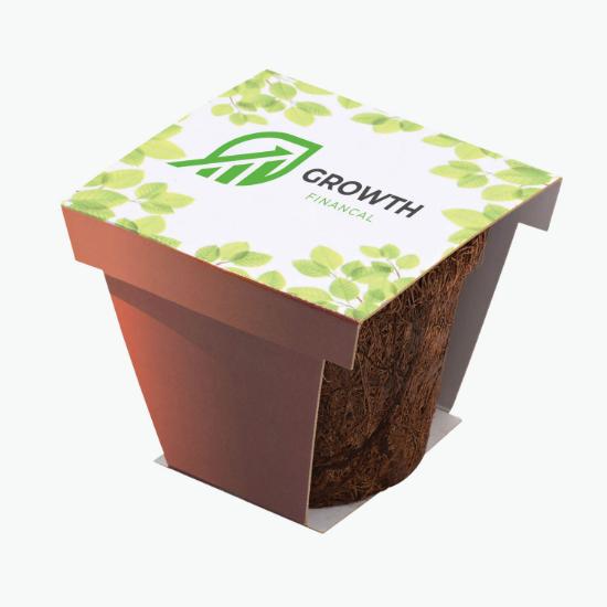CoCo Planter Kit