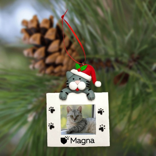 Cat Picture Frame Ornament
